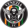 Logo VENEZIA