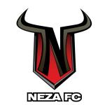 THE BULLS